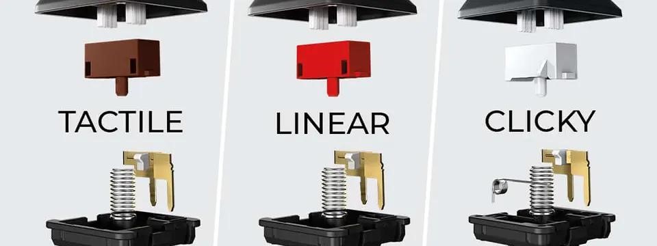 Close-up comparison of linear, tactile, and clicky mechanical keyboard switch internals showing different actuation mechanisms and feedback types